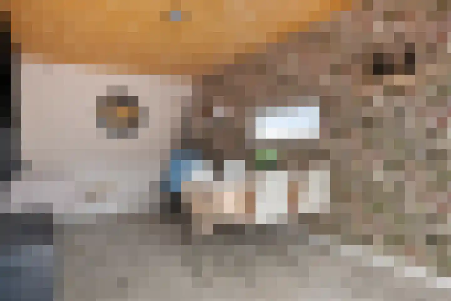 Kavelingen 41 Valthermond thumbnail 40
