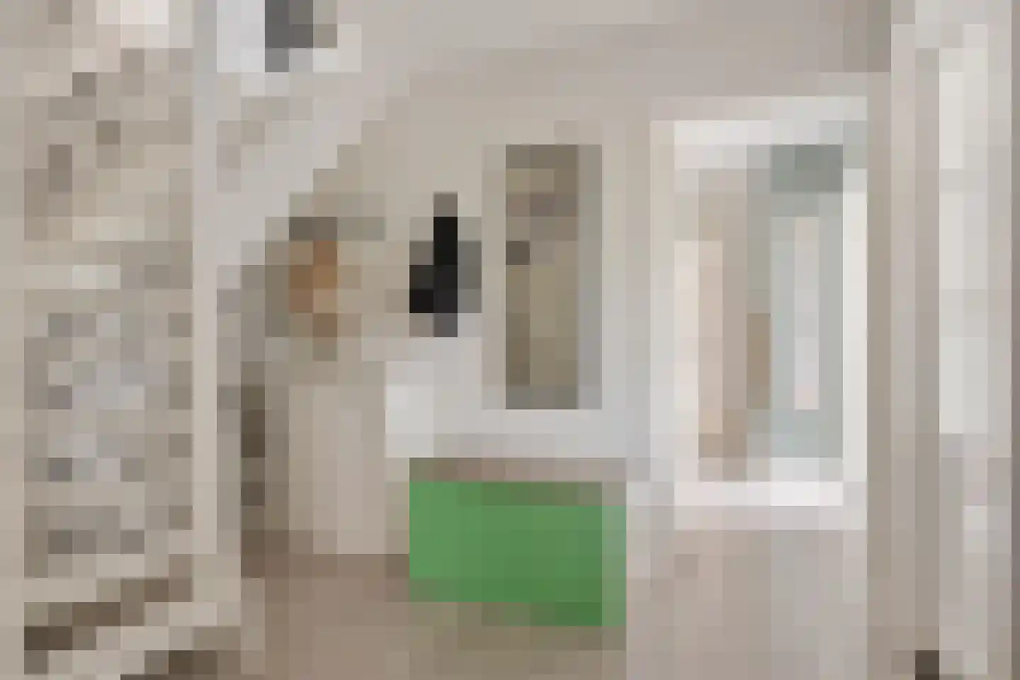 Kavelingen 41 Valthermond thumbnail 9