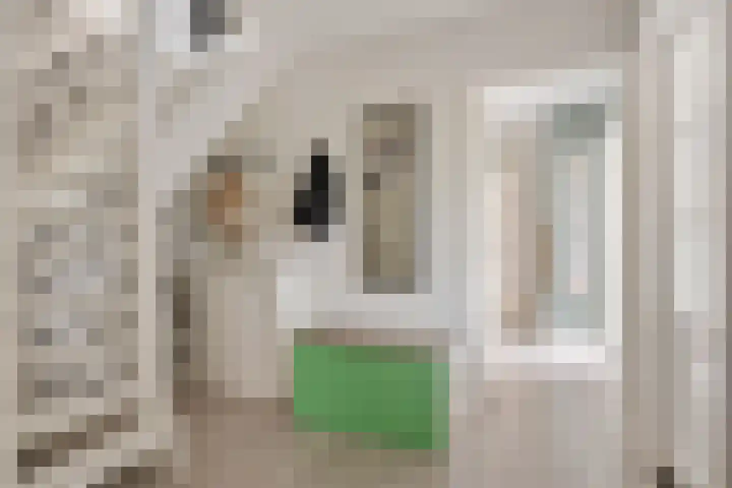 Kavelingen 41 Valthermond thumbnail 9