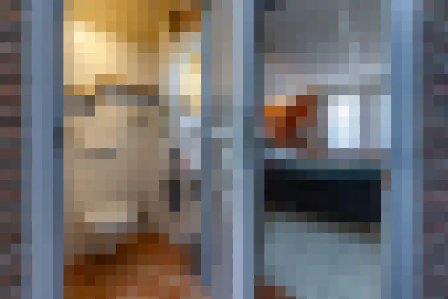 Kavelingen 51 Valthermond thumbnail 10