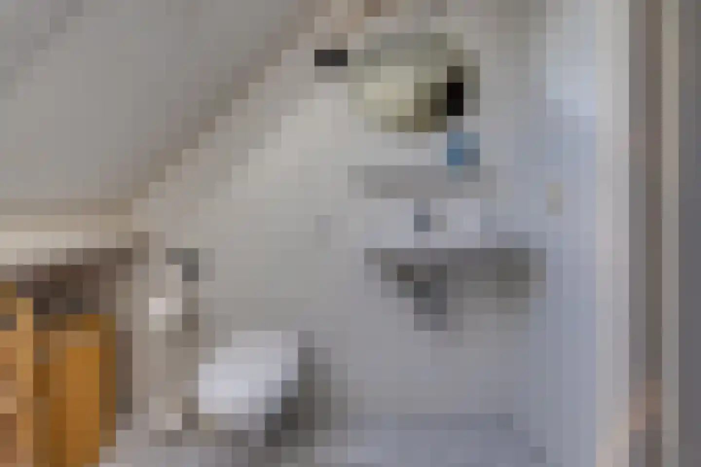 Kavelingen 51 Valthermond thumbnail 27