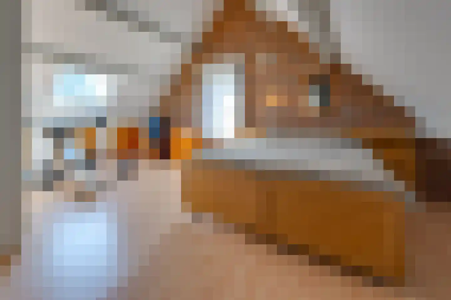 Kavelingen 51 Valthermond thumbnail 28