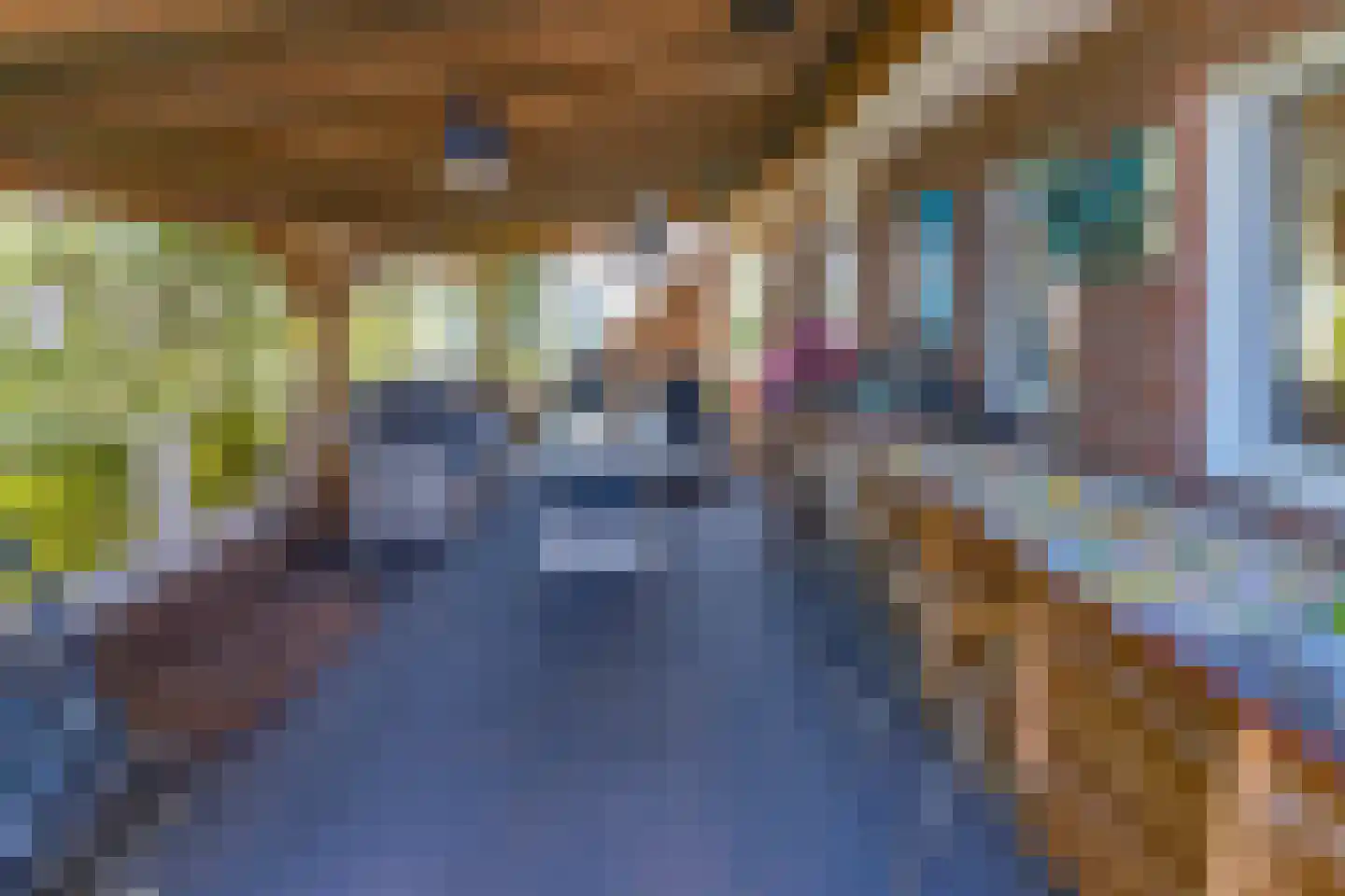 Kavelingen 51 Valthermond thumbnail 37