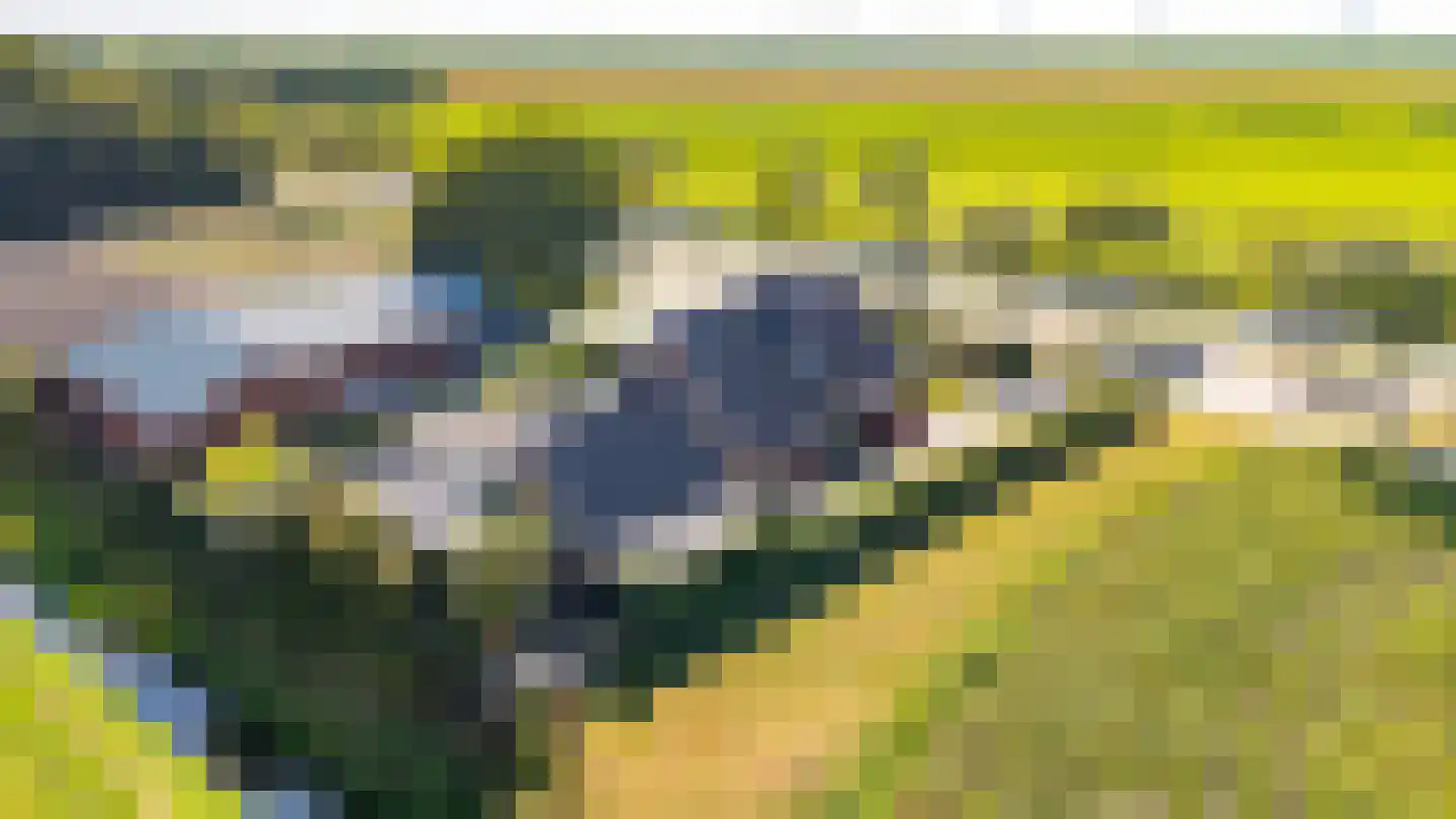 Kavelingen 51 Valthermond thumbnail 46