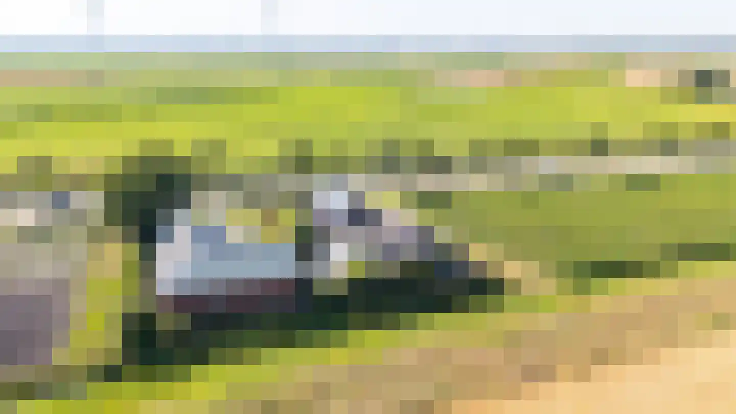 Kavelingen 51 Valthermond thumbnail 47