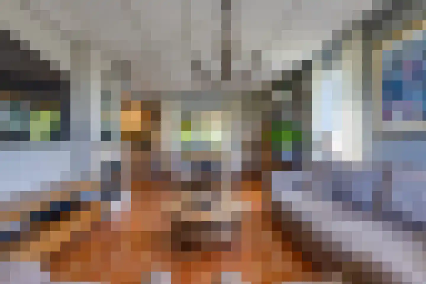 Kavelingen 51 Valthermond thumbnail 5