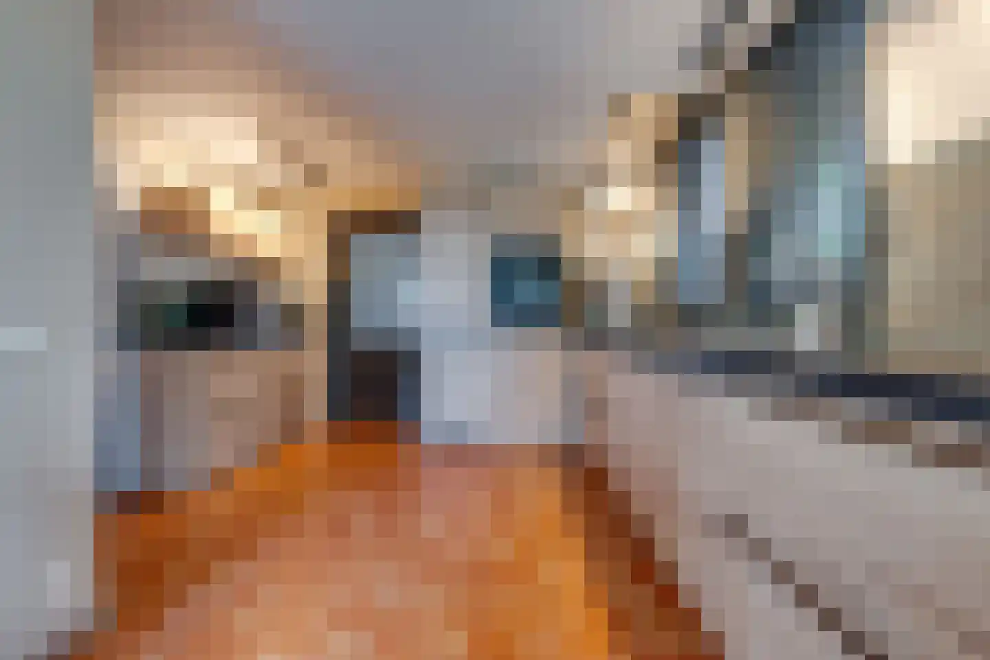 Kavelingen 51 Valthermond thumbnail 7