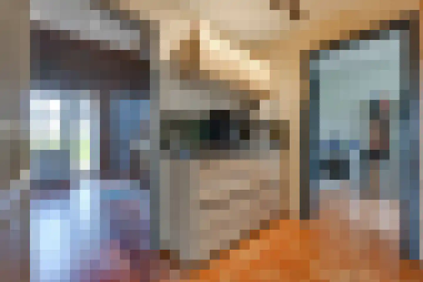 Kavelingen 51 Valthermond thumbnail 9