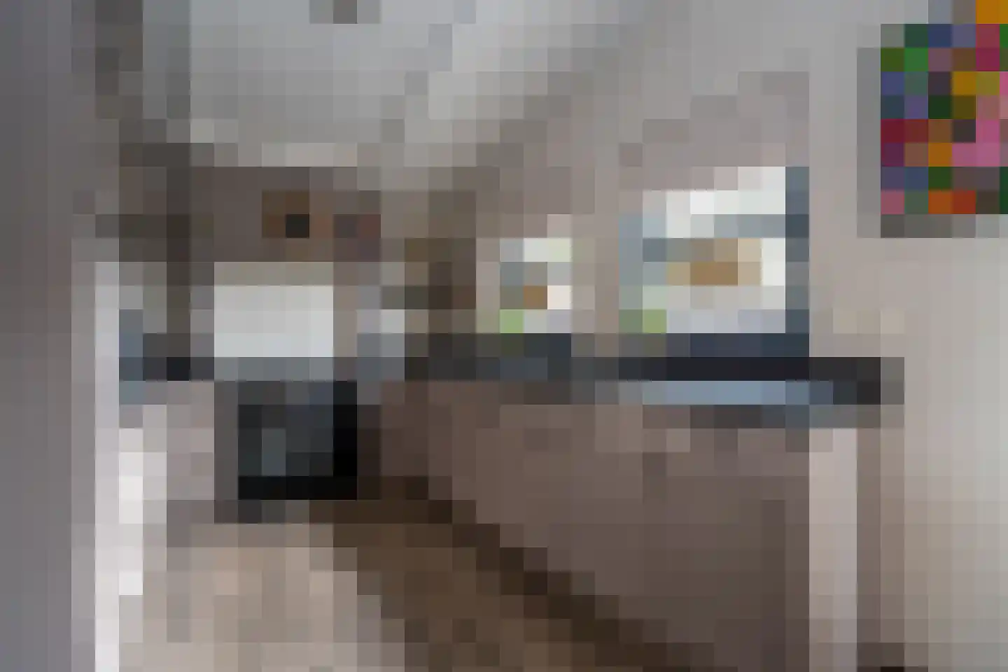 Kavelingen 76 Valthermond thumbnail 11