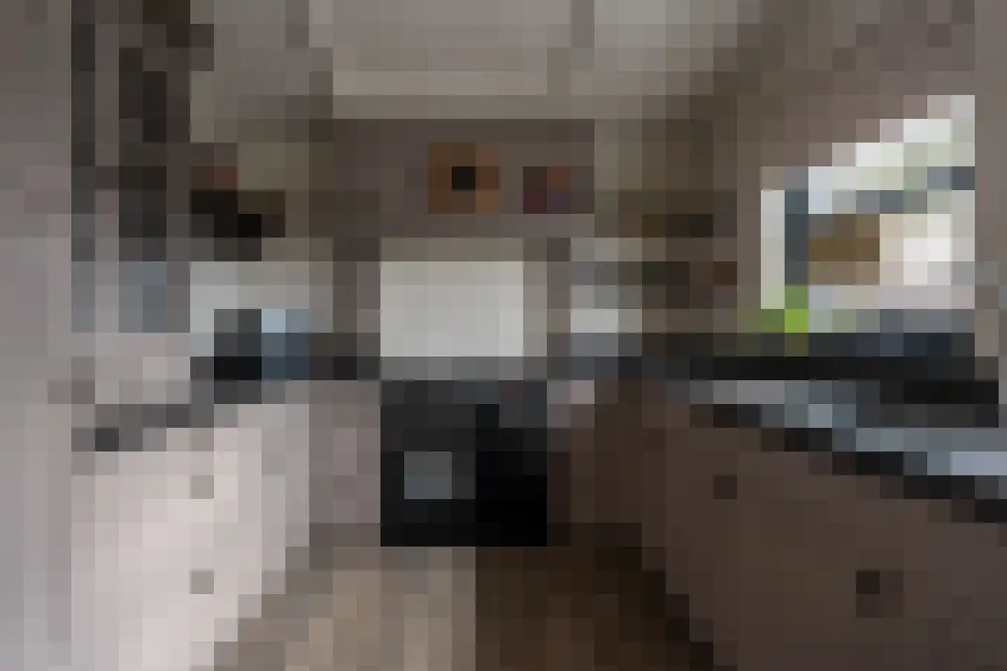 Kavelingen 76 Valthermond thumbnail 14