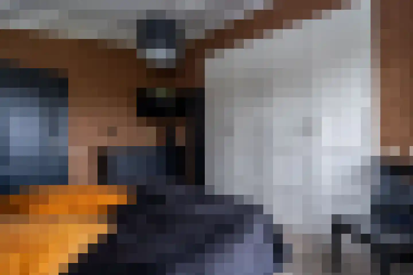 Kavelingen 76 Valthermond thumbnail 19