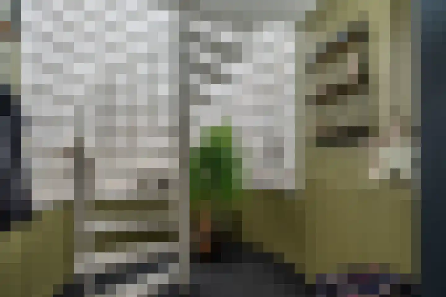 Kavelingen 76 Valthermond thumbnail 27