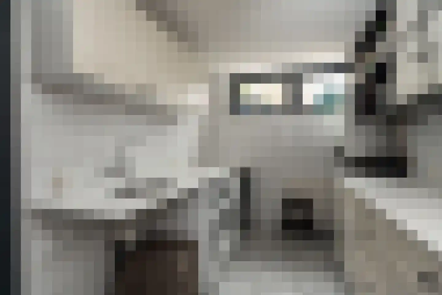 Kavelingen 76 Valthermond thumbnail 41