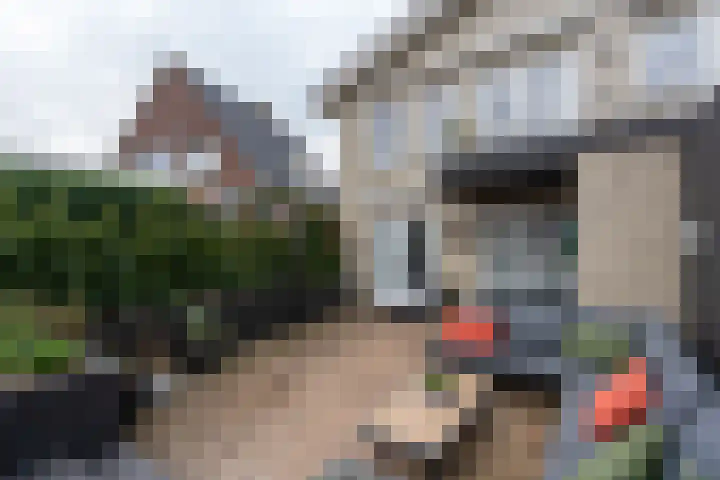 Kavelingen 76 Valthermond thumbnail 45