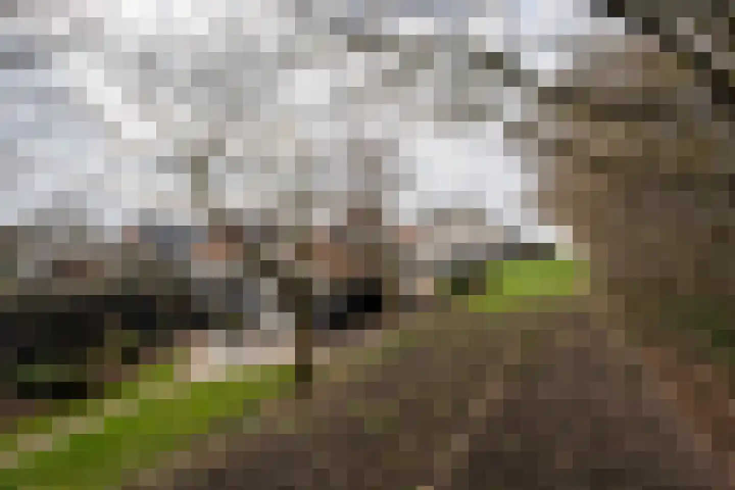Kavelingen 76 Valthermond thumbnail 48