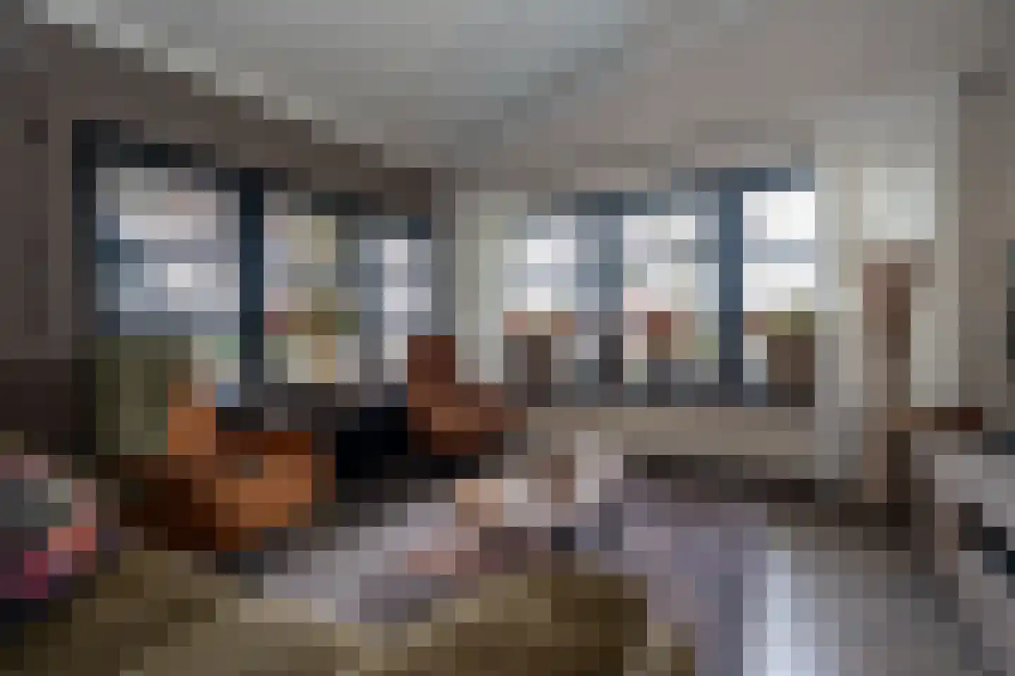 Kavelingen 76 Valthermond thumbnail 5