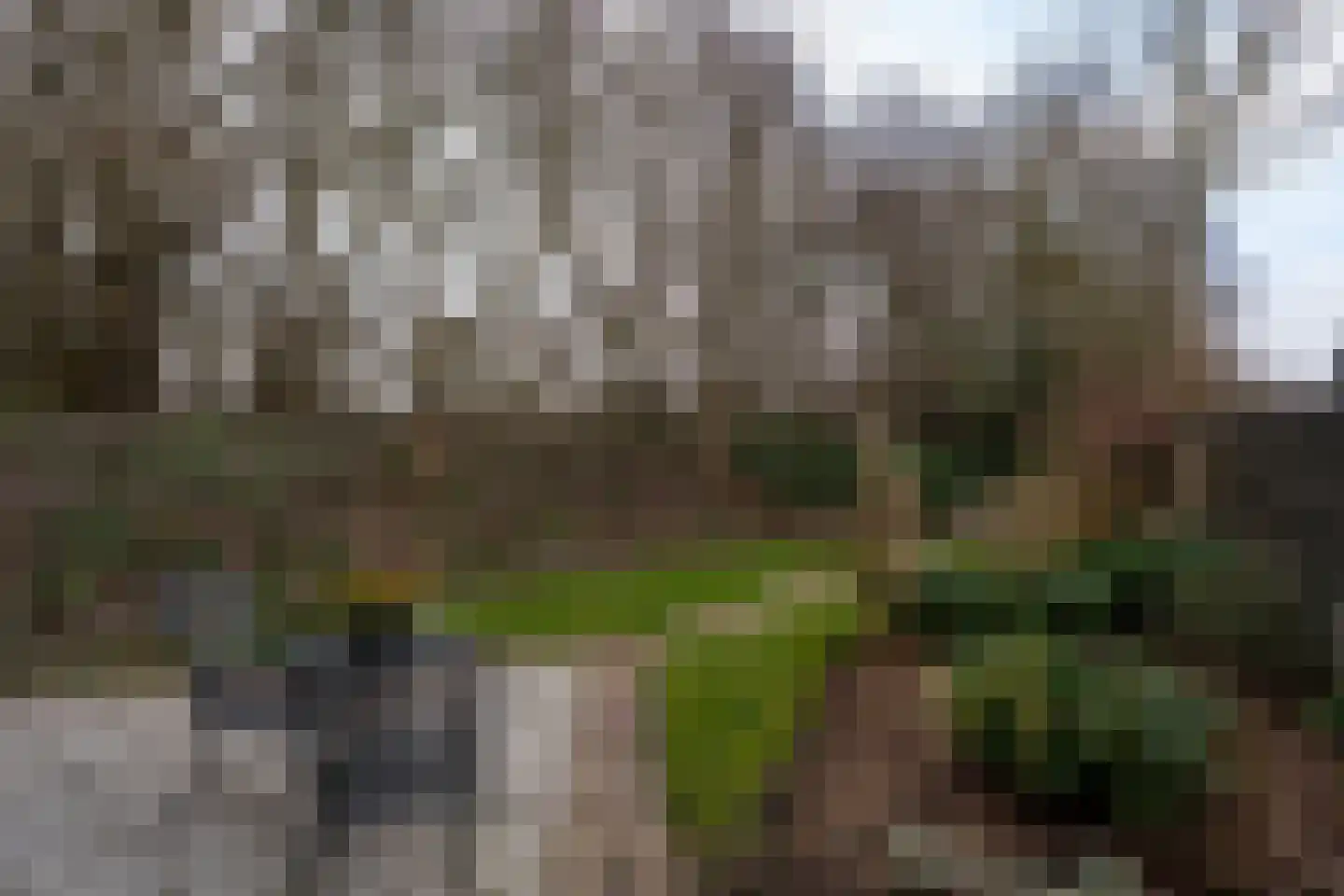 Kavelingen 76 Valthermond thumbnail 54