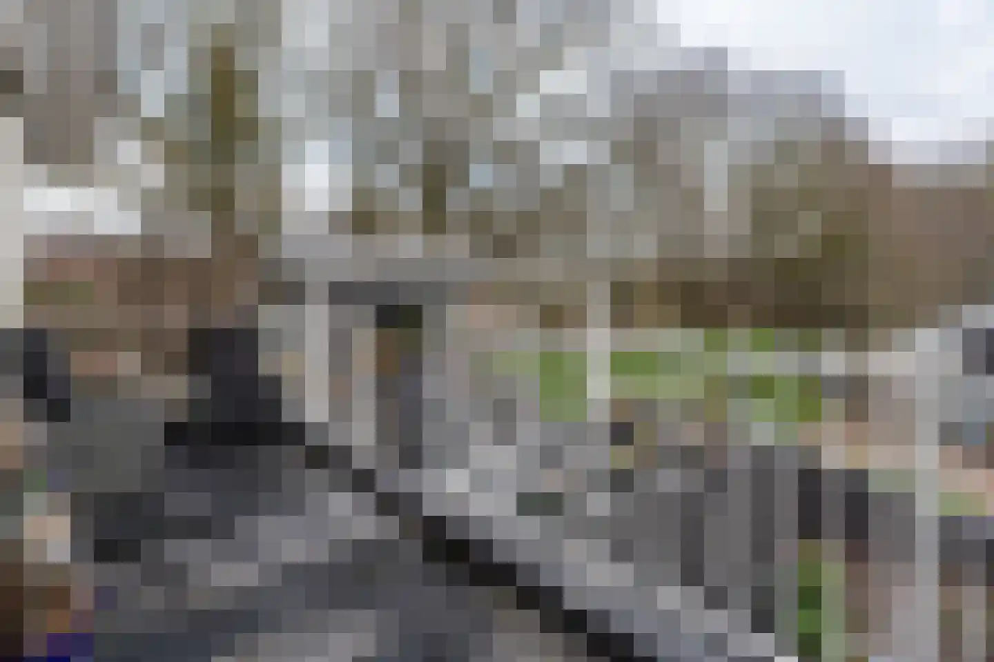 Kavelingen 76 Valthermond thumbnail 59