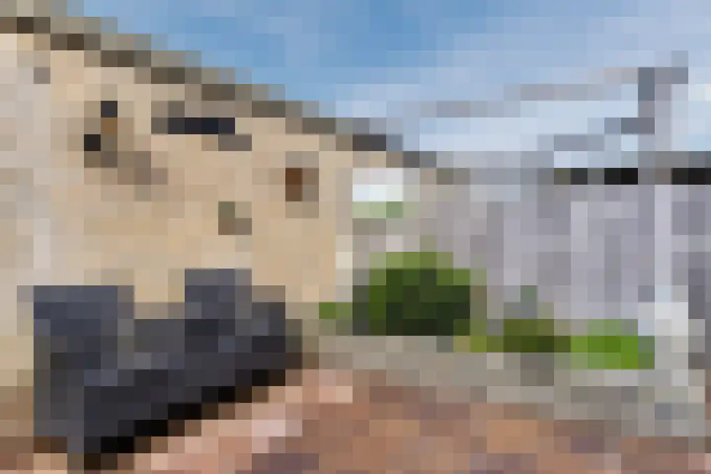 Kavelpad 13 Bodegraven thumbnail 54