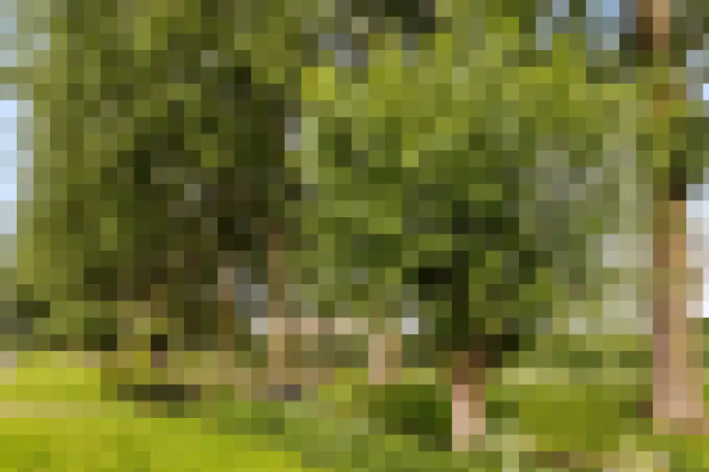 Kavelpad 13 Bodegraven thumbnail 64