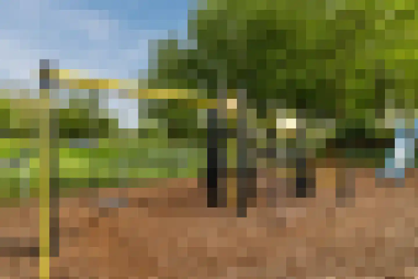 Kavelpad 13 Bodegraven thumbnail 67