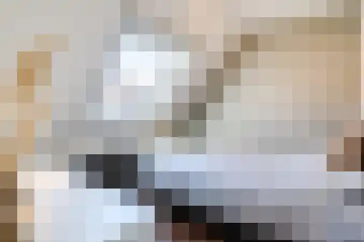 Kavelpad 25 Bodegraven thumbnail 25