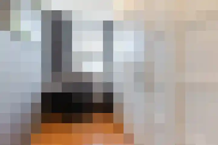 Kavelpad 25 Bodegraven thumbnail 26