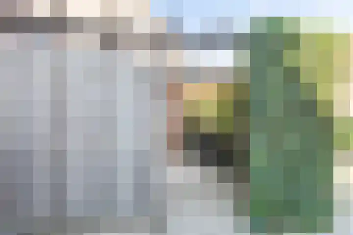 Kavelpad 25 Bodegraven thumbnail 37