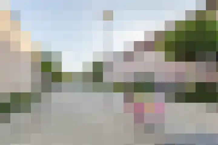 Kavelpad 25 Bodegraven thumbnail 39