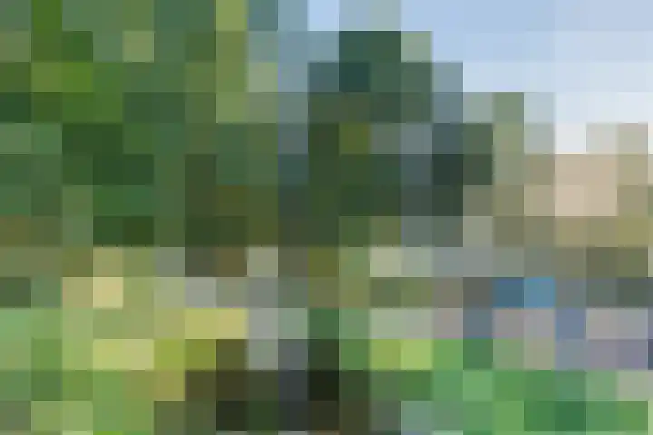 Kavelpad 25 Bodegraven thumbnail 40