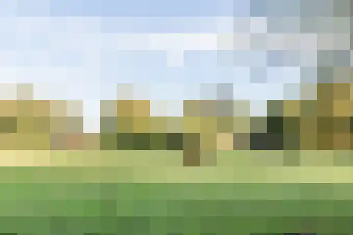 Kavelpad 25 Bodegraven thumbnail 41