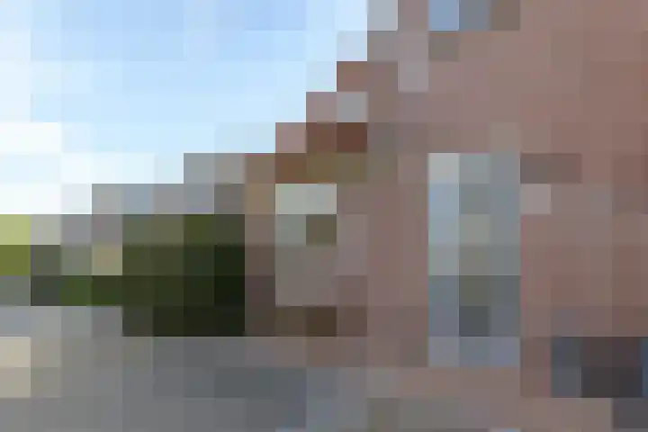 Kavelpad 25 Bodegraven thumbnail 7