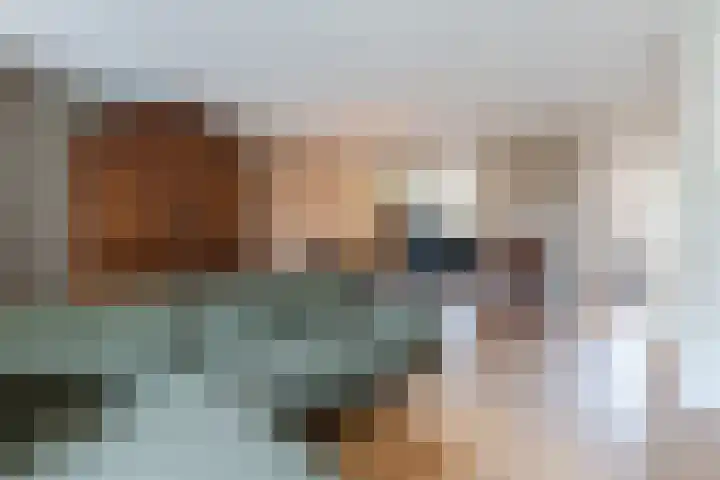 Kavelpad 39 Bodegraven thumbnail 12