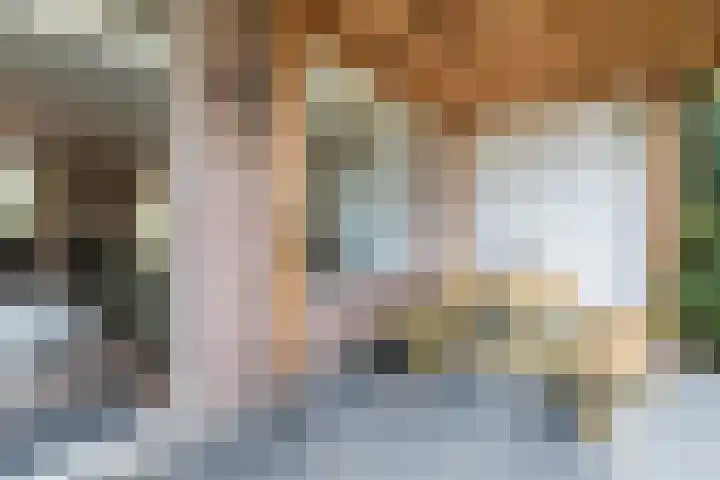 Kavelpad 39 Bodegraven thumbnail 18