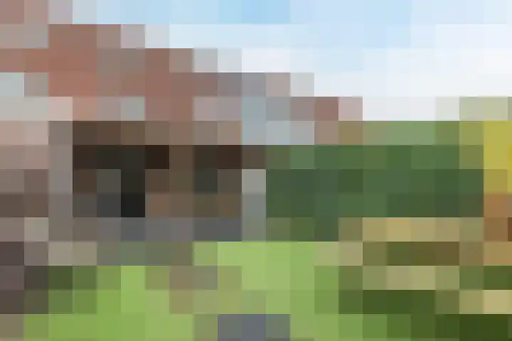 Kavelpad 39 Bodegraven thumbnail 19