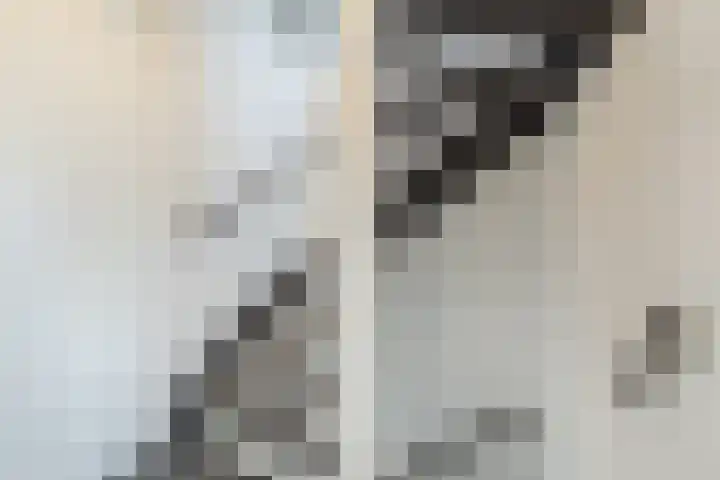 Kavelpad 39 Bodegraven thumbnail 24