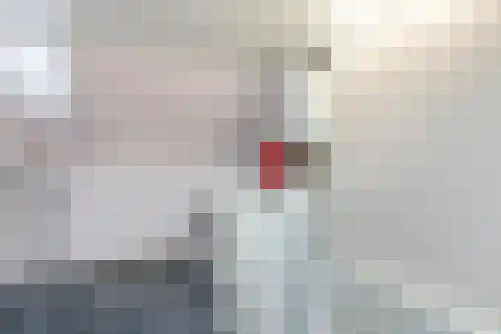 Kavelpad 39 Bodegraven thumbnail 36
