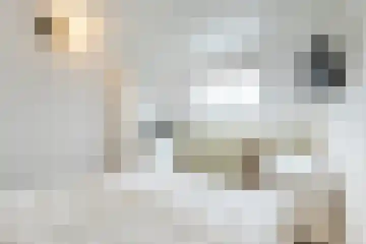Kavelpad 39 Bodegraven thumbnail 39
