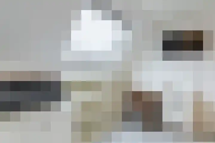 Kavelpad 39 Bodegraven thumbnail 40