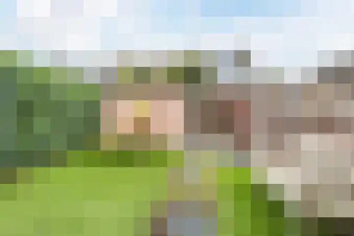 Kavelpad 39 Bodegraven thumbnail 43