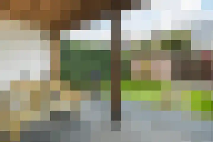 Kavelpad 39 Bodegraven thumbnail 44