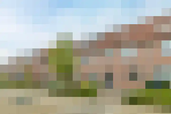 Kavelpad 39 Bodegraven thumbnail 47
