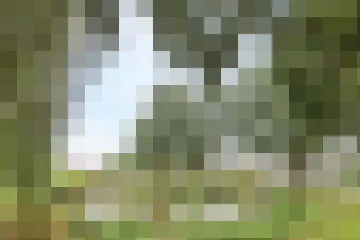 Kavelpad 39 Bodegraven thumbnail 48