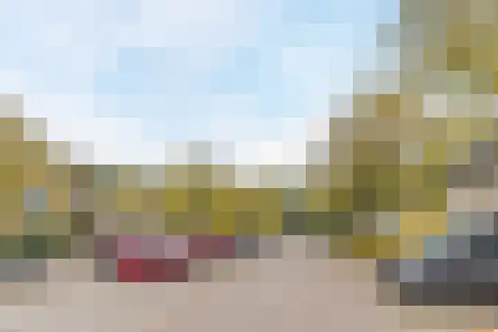 Kavelpad 39 Bodegraven thumbnail 49