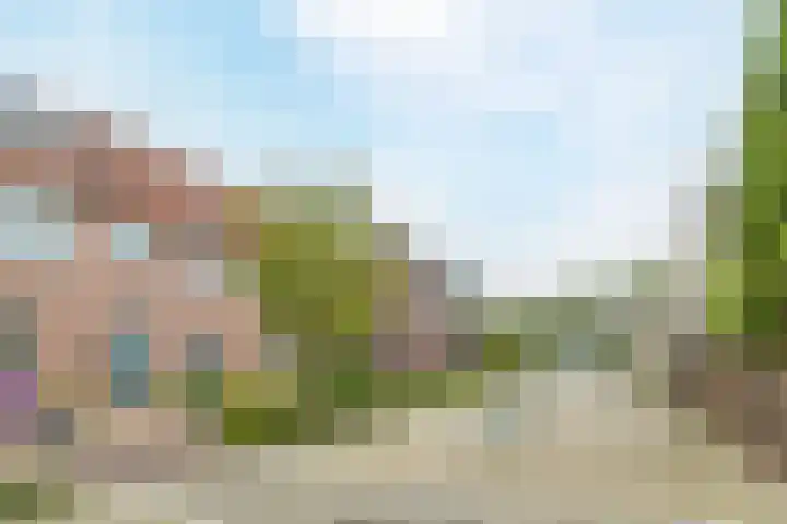Kavelpad 39 Bodegraven thumbnail 5