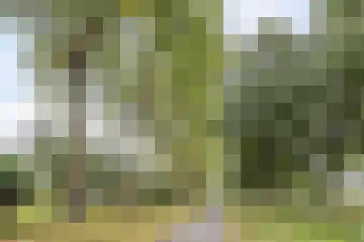 Kavelpad 39 Bodegraven thumbnail 50