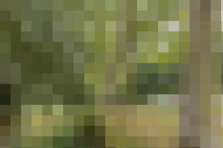 Kavelpad 39 Bodegraven thumbnail 51