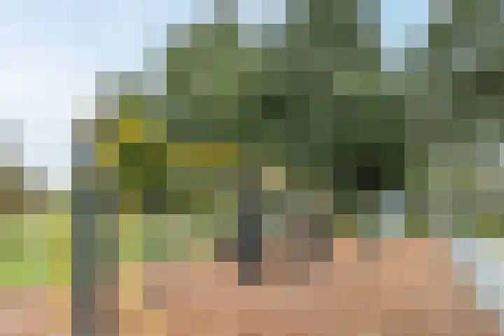Kavelpad 39 Bodegraven thumbnail 52