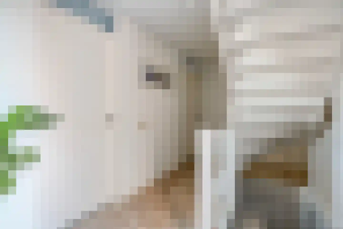 Kavelpad 4 Alphen aan den Rijn thumbnail 23