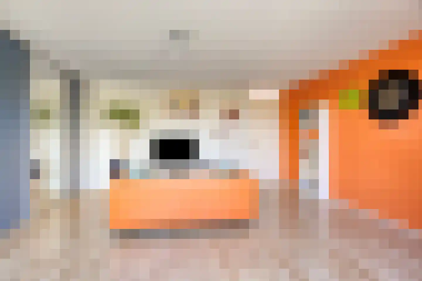 Kavelpad 4 Alphen aan den Rijn thumbnail 40